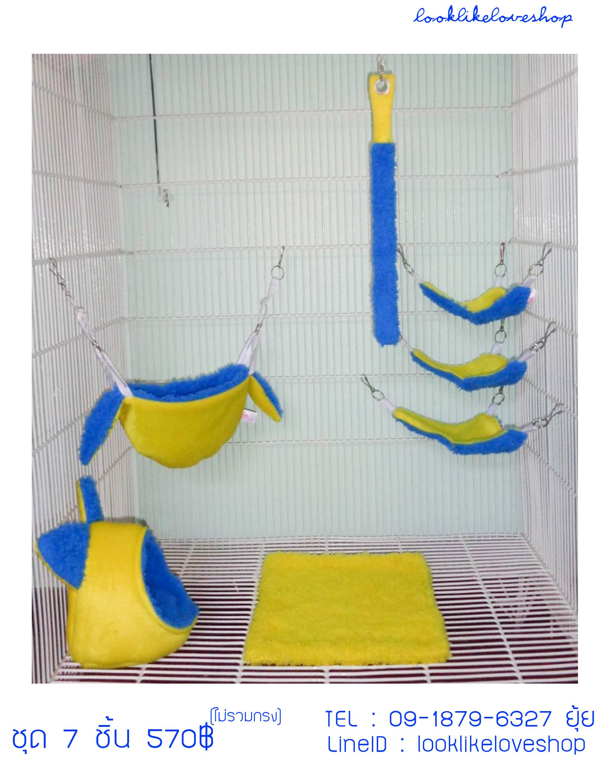 จำหน่ายบ้านนอน  Sugar Gliders รูปที่ 5