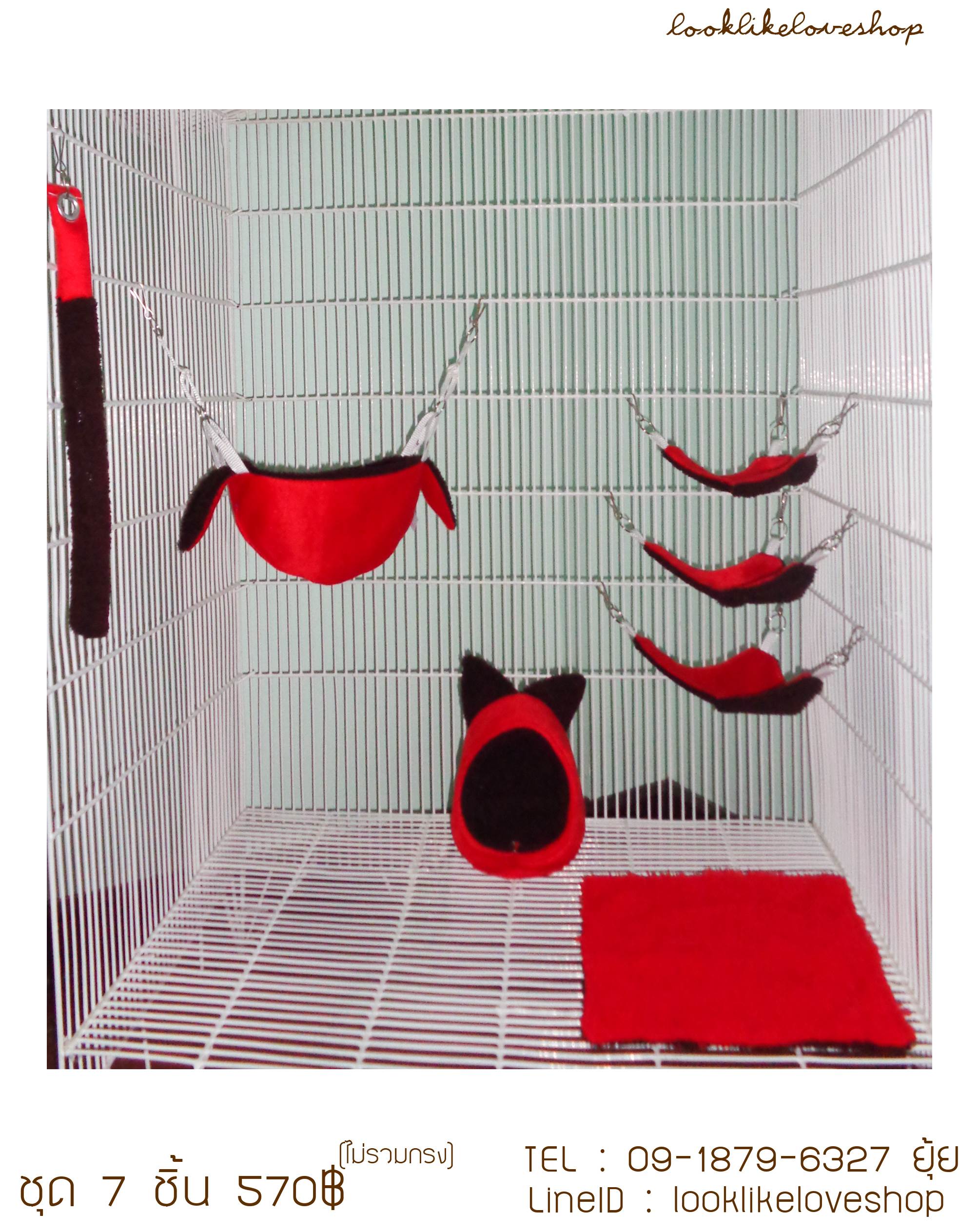 จำหน่ายบ้านนอน  Sugar Gliders รูปที่ 2