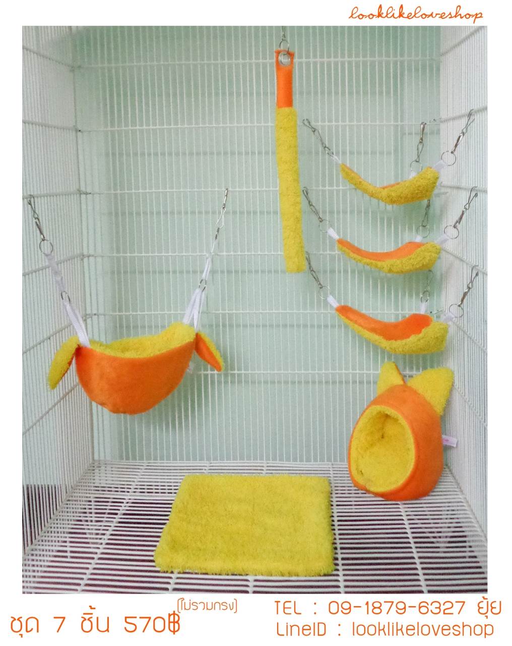 จำหน่ายบ้านนอน  Sugar Gliders รูปที่ 3