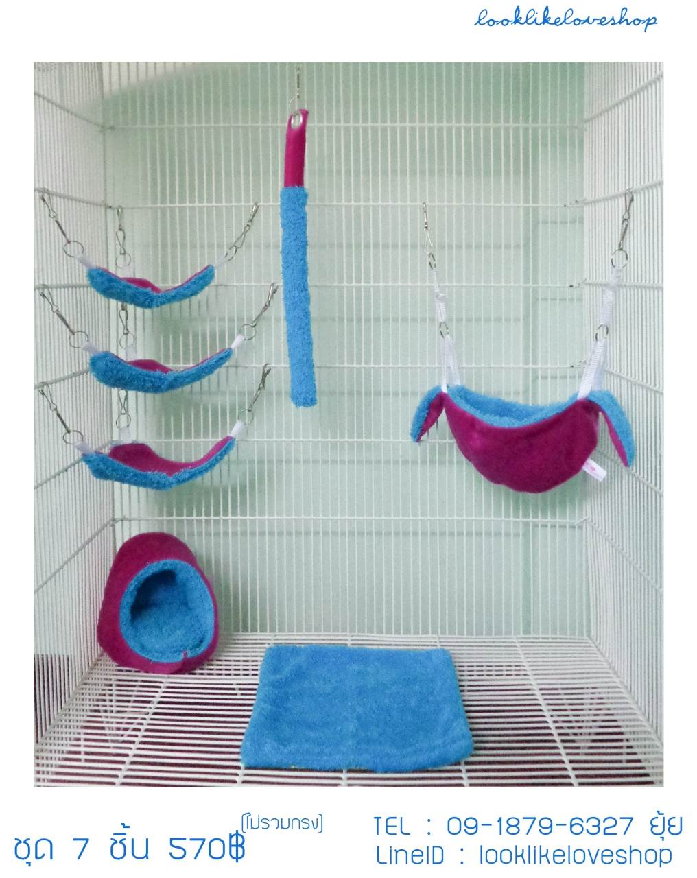 จำหน่ายบ้านนอน  Sugar Gliders รูปที่ 4