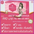 อาหารเสริมสปริง SPRING สปริง อาหารเสริม ช่วยลดความหิว และความอยากอาหารหวาน ช่วยเพิ่มพลังงานให้ร่างกาย ทำให้รู้สึกสดชื่น