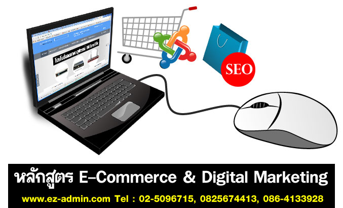หลักสูตรอบรม E-Commerce and Digital Marketing รูปที่ 1