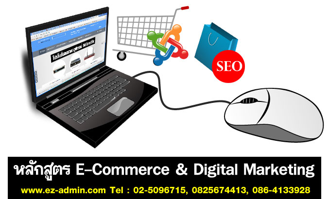หลักสูตรอบรม E-Commerce and Digital Marketing รูปที่ 3