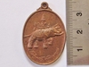 รูปย่อ เหรียญเจ้าพ่อกู่ช้าง รุ่นสร้างหอชัยหนึ่งพันสี่ร้อยปี น้ำมนต์เดือด (เช่าแล้ว) รูปที่1