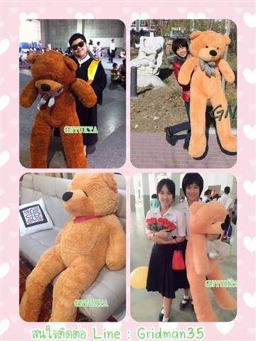 ร้าน GNTUKTA จัดจำหน่ายตุ๊กตาหมีและตุ๊กตาไซบีเรียนตัวใหญ่ รูปที่ 4