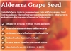 รูปย่อ Aldearra Grape Seed สารสกัดจากเมล็ดองุ่น อาหารเสริม เพื่อสุขภาพ ความงาม รูปที่5