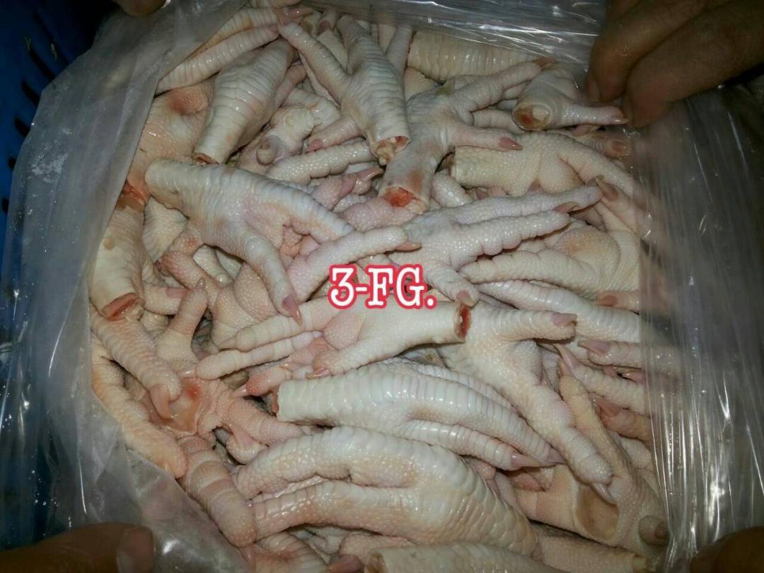 ขา C ไก่เกรด A ขาไก่ไทยเเท้ๆ ราคาถูก ของต่างประเทศก็มีจำนวนมากครับ รูปที่ 3