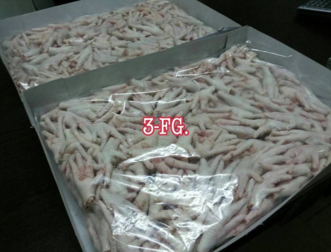 ขา C ไก่เกรด A ขาไก่ไทยเเท้ๆ ราคาถูก ของต่างประเทศก็มีจำนวนมากครับ รูปที่ 7