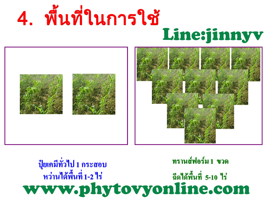 โอกาส ของเกษตรที่จะลดต้นทุนเพิ่มผลผลิต ที่เห็นผลได้จริงคุ้มค่า ทดสอบฟรี!! รูปที่ 7