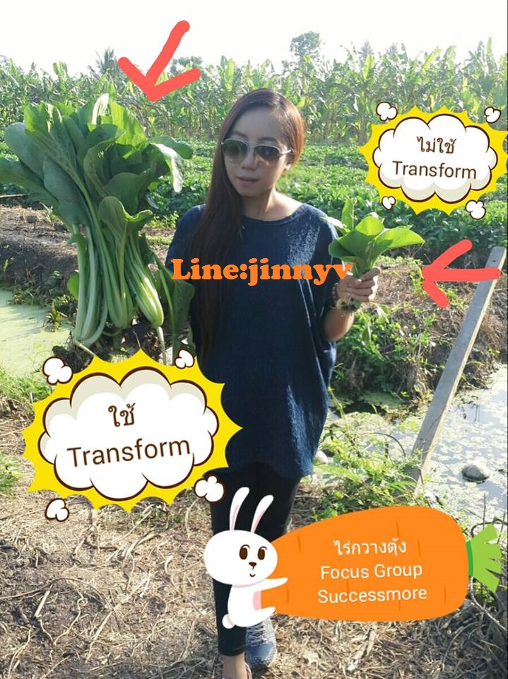 โอกาส ของเกษตรที่จะลดต้นทุนเพิ่มผลผลิต ที่เห็นผลได้จริงคุ้มค่า ทดสอบฟรี!! รูปที่ 4