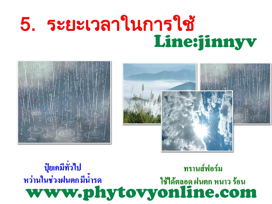 โอกาส ของเกษตรที่จะลดต้นทุนเพิ่มผลผลิต ที่เห็นผลได้จริงคุ้มค่า ทดสอบฟรี!! รูปที่ 6