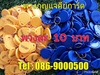 รูปย่อ ขายส่งบัตรคีย์การ์ดใบละ 10 บาท รูปที่1