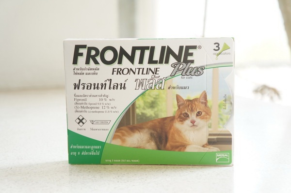 Frontline Plus (ฟรอนท์ไลน์ พลัส) กำจัดเห็บหมัด สำหรับแมว (แพ็คคู่ 920 บาท) รูปที่ 1