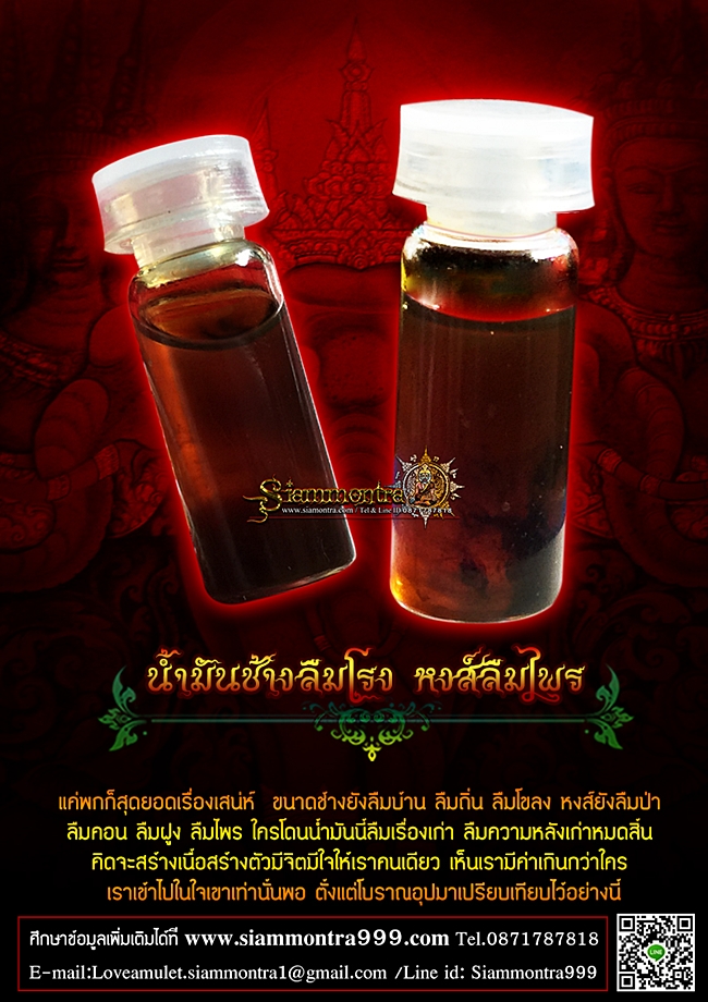 น้ำมันช้างลืมโรง หงส์ลืมไพร รูปที่ 2
