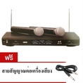 ไมค์ลอยคู่/ไมค์ไร้สาย Wireless Microphone รุ่น WRE WR-555 Professional