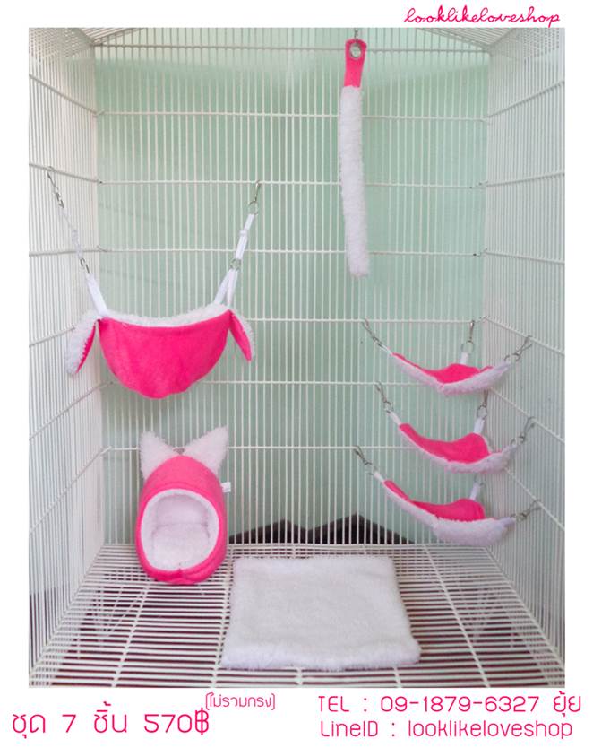 ขาย กรง  เเละ บ้าน ชูก้า ชุดที่นอน ของเล่น Sugar Gliders รูปที่ 2
