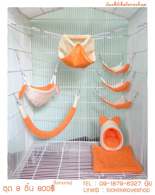 ขาย กรง  เเละ บ้าน ชูก้า ชุดที่นอน ของเล่น Sugar Gliders รูปที่ 4