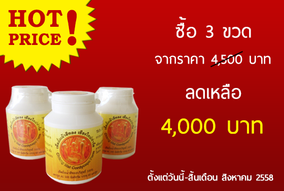 เห็ดถั่งเช่าสีทองแท้ 100% ช่วยลดภูมิแพ้ ลดไขมันในเส้นเลือด รูปที่ 3