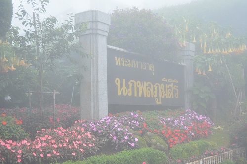 โปรโมชั่นเที่ยวเชียงใหม่ เชียงใหม่ ทัวร์ ออนไลน์ (ChiangMaiTourOnline.Com) โปรโมชั่นหน้าฝนนี้ เที่ยวเชียงใหม่หน้าฝน สวยง รูปที่ 1