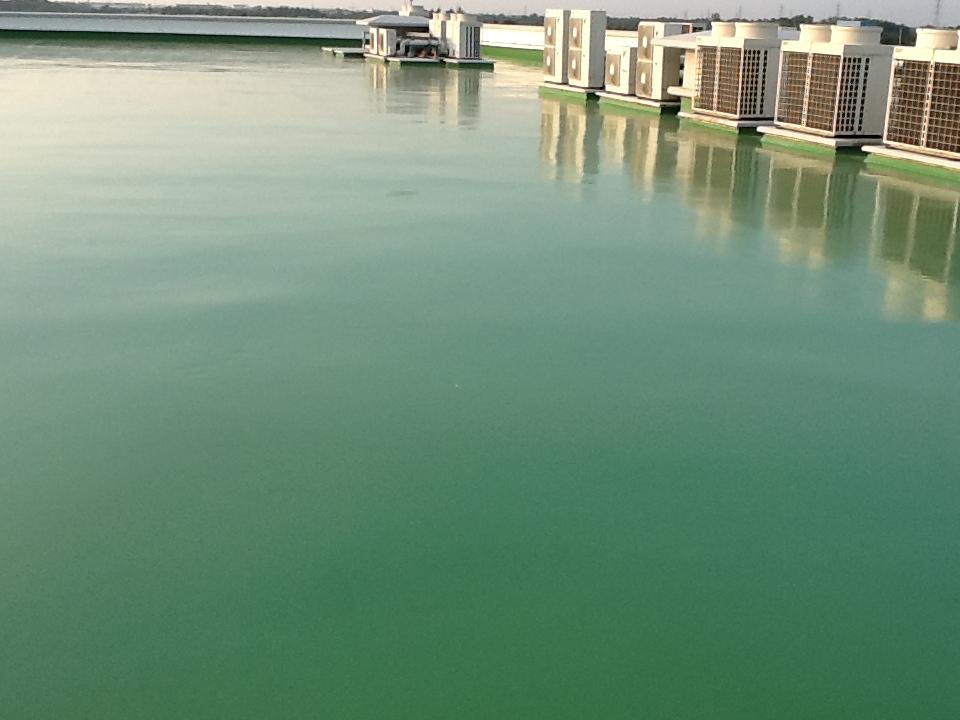 รับทำพื้น Epoxy รูปที่ 4