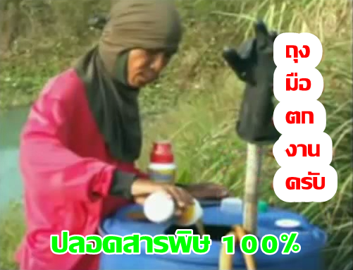 ปุ๋ยอินทรีย์น้ำมหัศจรรย์ คู่ซี้ปลดหนี้เกษตรกรไทย รูปที่ 5