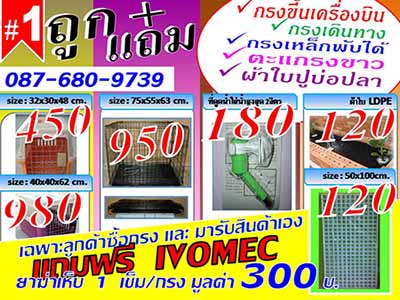 ทำไมลูกค้าจึงมั่นใจที่นี่ กรงใหม่-ถูก กรงขึ้นเครื่องบินสามารถนำสุนัข แมวเดินทางไปกับสายการบินนกแอร์ การบินไทย และสายการบ รูปที่ 1