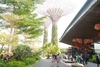 รูปย่อ แพ็คเกจทัวร์สิงคโปร์ ราคาพิเศษ รูปที่6