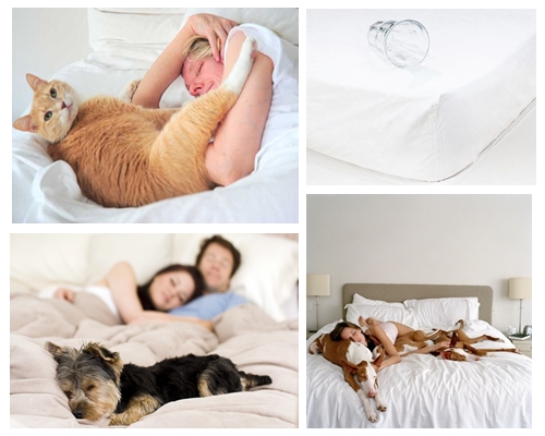 ผ้าปูที่นอนสำหรับคนรักสัตว์ มีสัตว์เลี้ยง กันขน กันฉี่เปรอะเปื้อนฟูกที่นอน รูปที่ 1