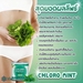 รูปย่อ Chloro Mint คลอโรมินต์ ขจัดสารพิษในร่างกาย ปรับระบบขับถ่าย สลายไขมัน ผิวสวยใสจากภายในสู่ภายนอก ตอบทุกความต้องการ รูปที่7