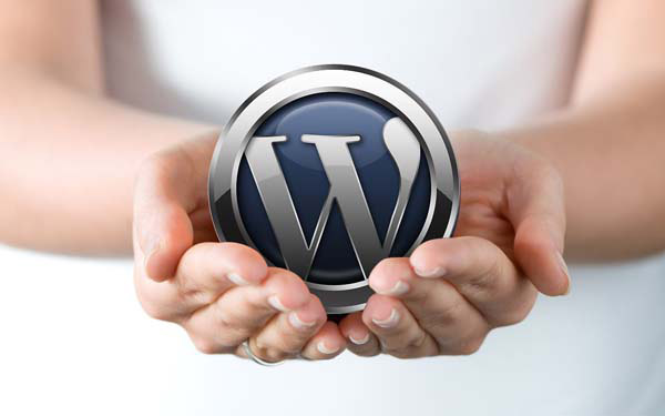 ดูแลเว็บไซต์ WordPress แบบ Unlimited ด้วยทีมระดับโปร รูปที่ 1