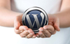 รูปย่อ ดูแลเว็บไซต์ WordPress แบบ Unlimited ด้วยทีมระดับโปร รูปที่1