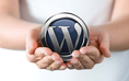 ดูแลเว็บไซต์ WordPress แบบ Unlimited ด้วยทีมระดับโปร