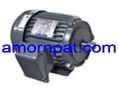 Motor For Air Handling Unit AHU มอเตอร์ สำหรับ เครื่องปรับอากาศ ขนาดใหญ่  Trane เทรน