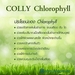 รูปย่อ Colly Chlorophyll Plus Fiber คอลลี่ คลอโรฟิลล์ พลัส ไฟเบอร์ กลิ่นชาเขียว ผิวสวยจากภายในสู่ภายนอก รูปที่5