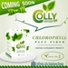 รูปย่อ Colly Chlorophyll Plus Fiber คอลลี่ คลอโรฟิลล์ พลัส ไฟเบอร์ กลิ่นชาเขียว ผิวสวยจากภายในสู่ภายนอก รูปที่2