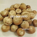 รูปย่อ จำหน่าย หมากแห้ง แบบลูก (หมากไทย) แห้งสนิท  (Foe sale whole dried betel nuts) รูปที่2
