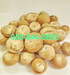 รูปย่อ จำหน่าย หมากแห้ง แบบลูก (หมากไทย) แห้งสนิท  (Foe sale whole dried betel nuts) รูปที่1