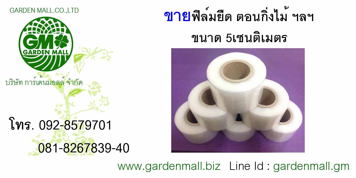 รับตกแต่งจัดสวนภูมิทัศน์-gardenmall รูปที่ 5