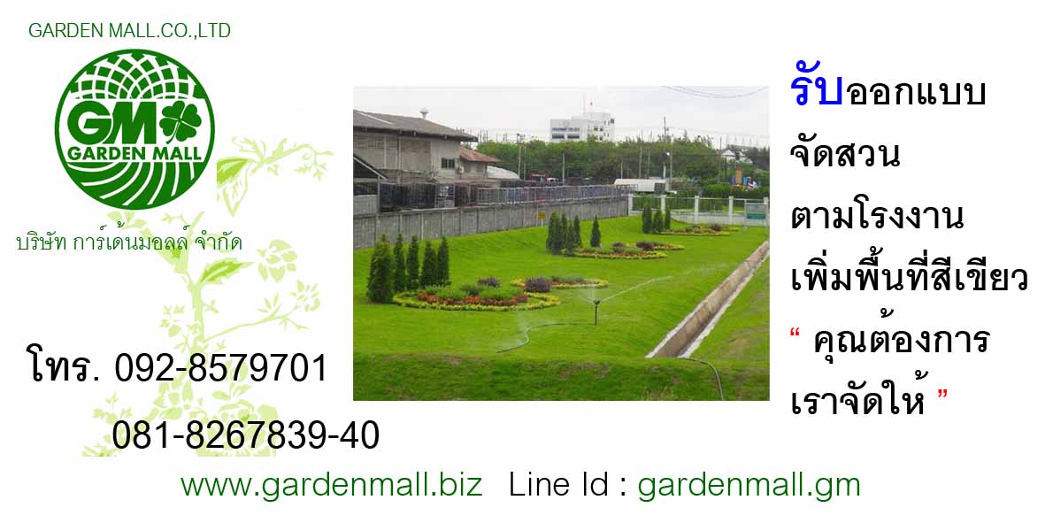 รับตกแต่งจัดสวนภูมิทัศน์-gardenmall รูปที่ 3