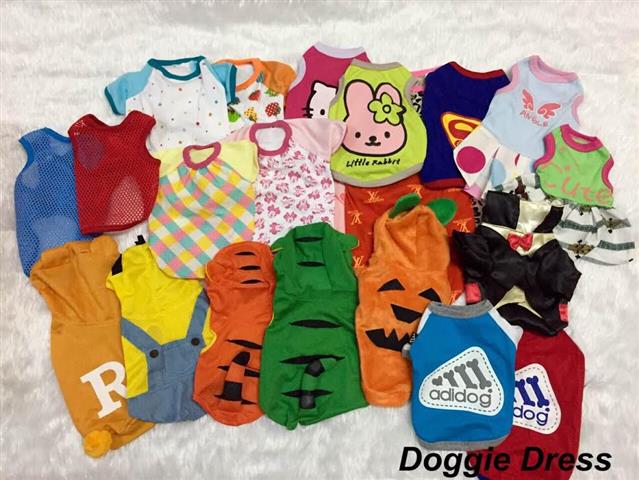 เสื้อสุนัข ร้าน Doggie Dress จำหน่ายเสื้อสุนัข แมว แบบน่ารัก ราคาถูก เริ่มต้น 60 บาท รูปที่ 1