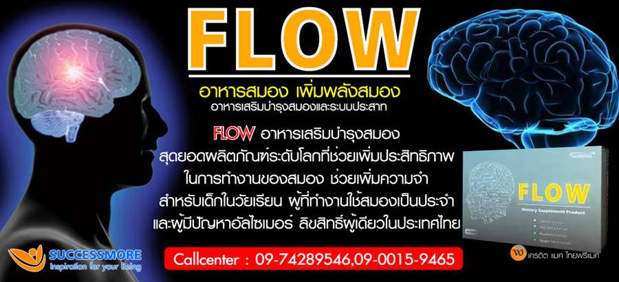 อัจฉริยะสร้างได้ ด้วย Flow อยากให้ลูกฉลาด อยากให้ลูกเรียนเก่ง เสริมความจำ และป้องกันสมองเสื่อม รูปที่ 4