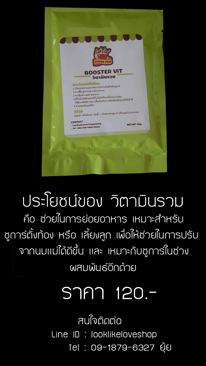 อาหารเสริม อาหารเม็ด ชูการ์ไกลเดอร์ รูปที่ 5