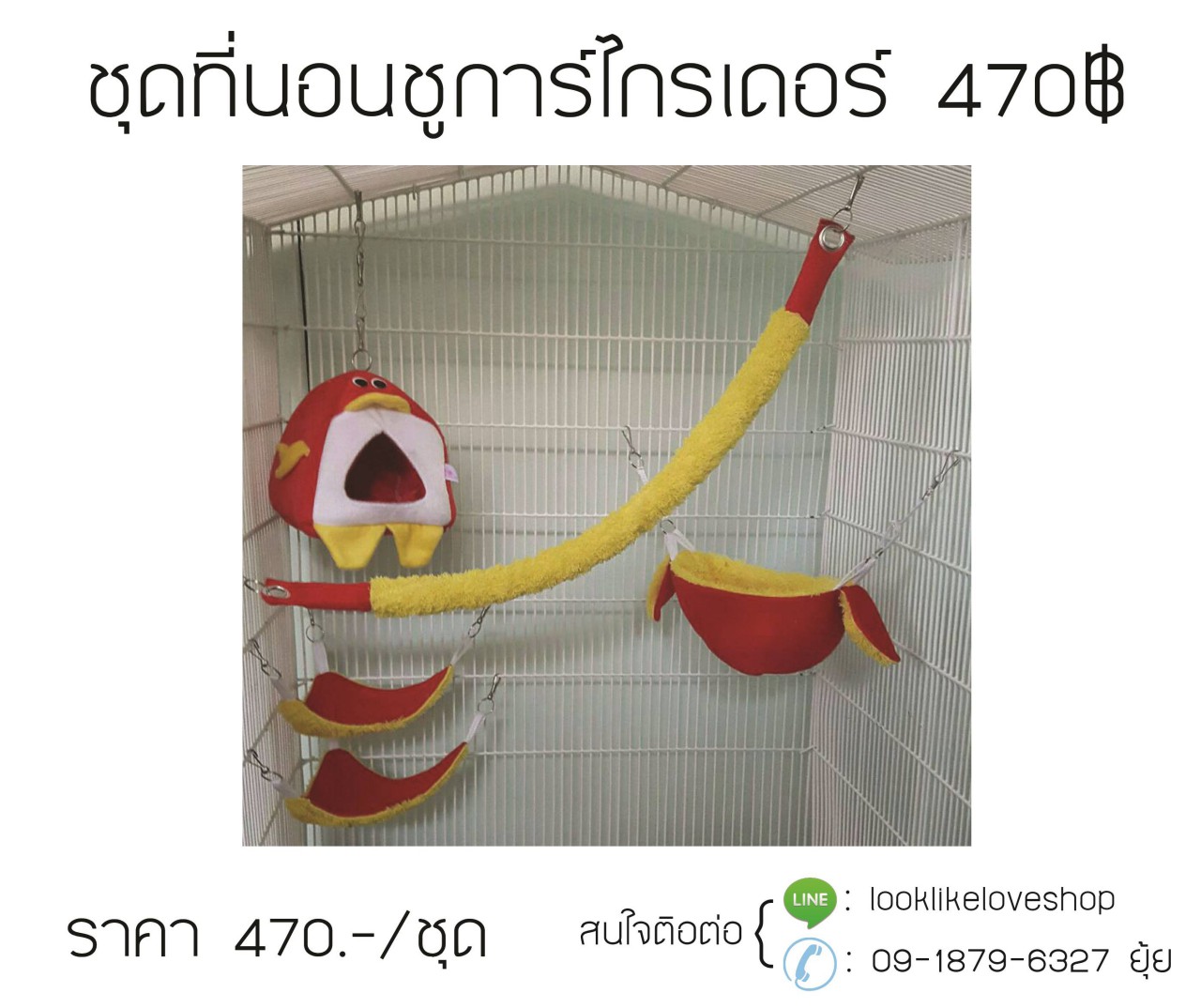ที่นอนชูการ์ไกลเดออร์ รูปที่ 3