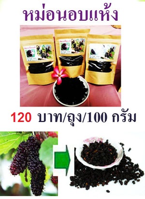 ลูกหม่อนสด,ลูกหม่อนอบแห้ง,น้ำลูกหม่อนแบบเข้มข้น100% รูปที่ 7