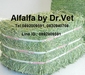 รูปย่อ Alfalfa, timithy รูปที่5
