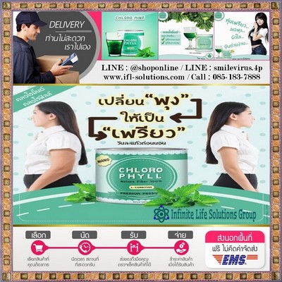 Chloro Mint คลอโรมินต์ ขจัดสารพิษในร่างกาย ปรับระบบขับถ่าย สลายไขมัน ผิวสวยใสจากภายในสู่ภายนอก ตอบทุกความต้องการ รูปที่ 1