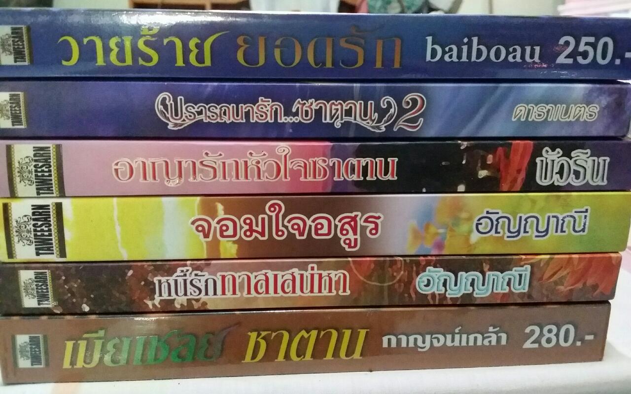 นิยายมือสองสภาพดีมากๆๆจร้า รูปที่ 7