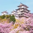 ทัวร์ญี่ปุ่น Love Sakura No 1 บิน TG นารา โอซาก้า อาราชิยาม่า เกียวโต ฟูจิ โตเกียว 6 วัน 4 คืน เดินทาง : 25 - 30 /29 มีน
