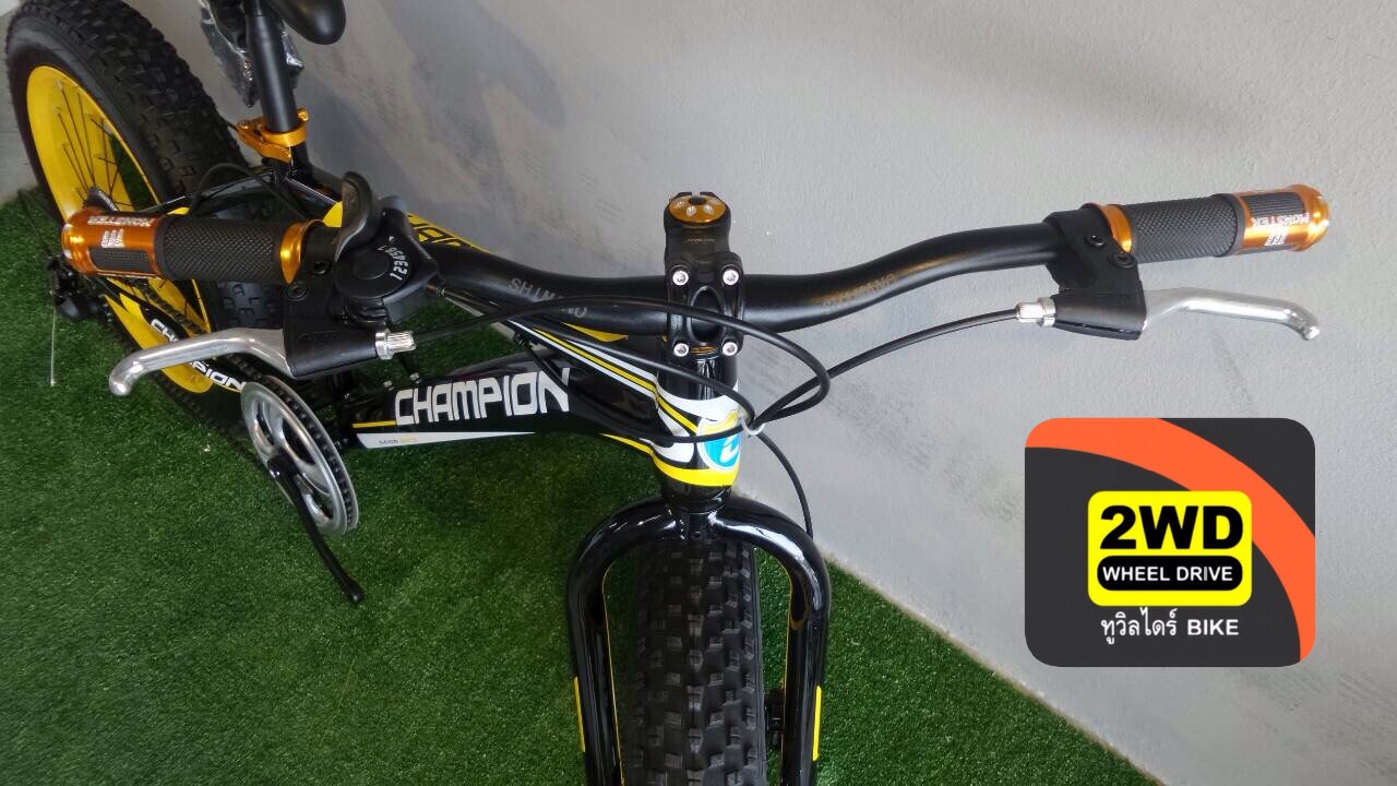 Fatbike mini Champion รูปที่ 6
