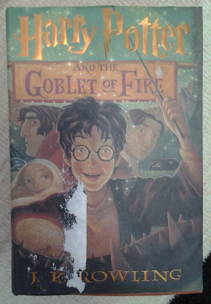 Harry Potter 4 รูปที่ 2